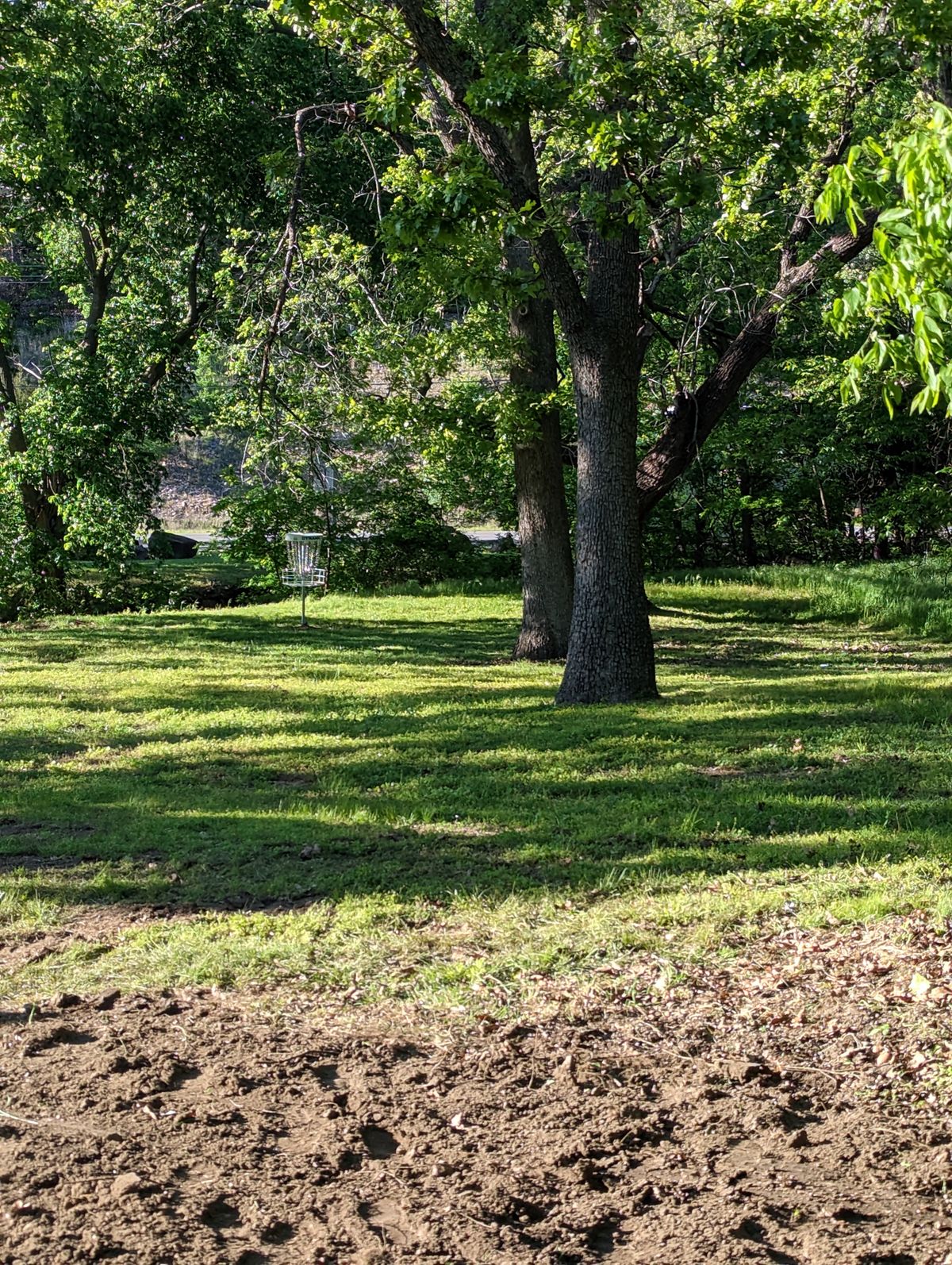 Hole 5 from tee pad.