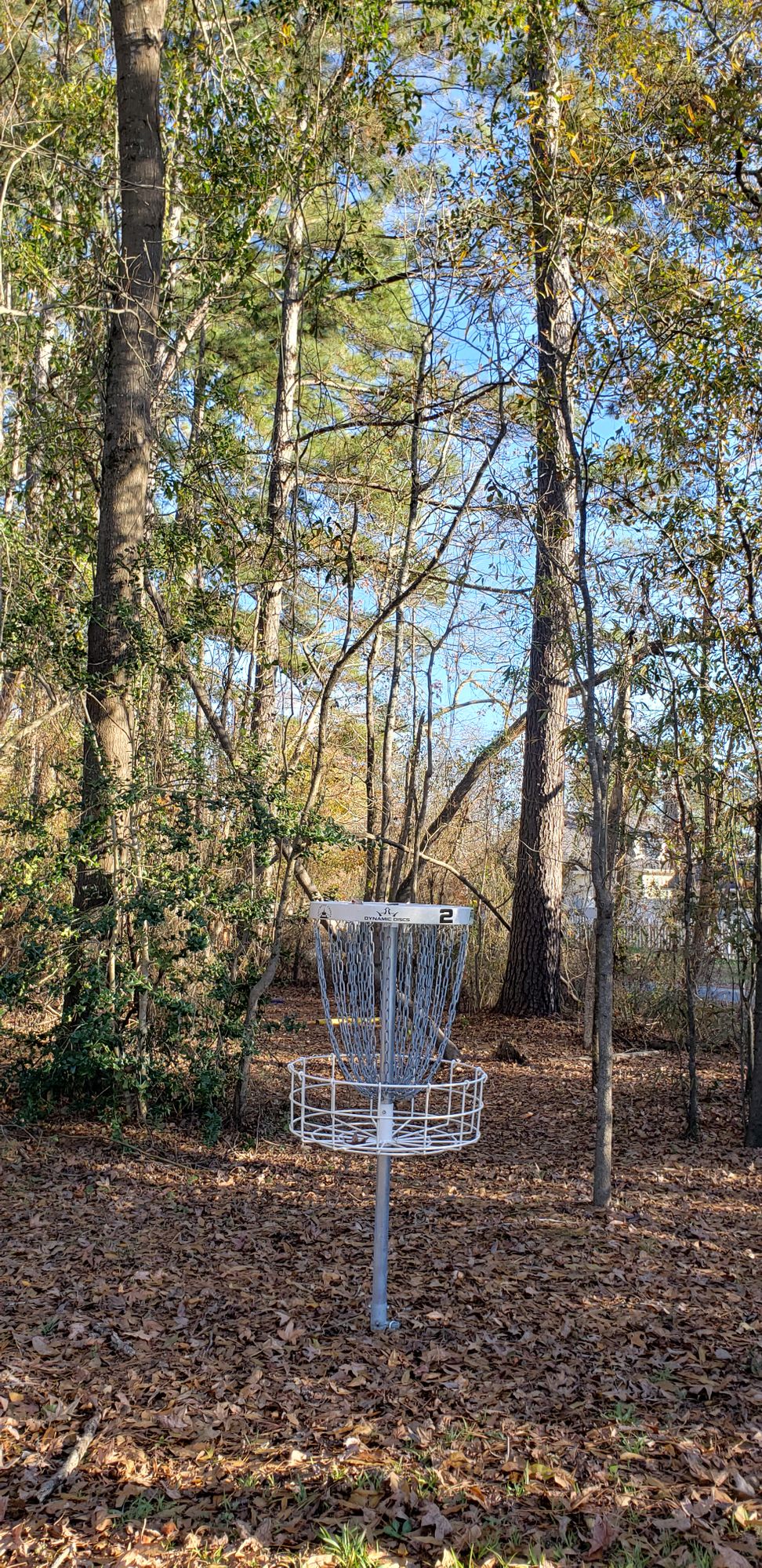 Small woods with a big woods feel.