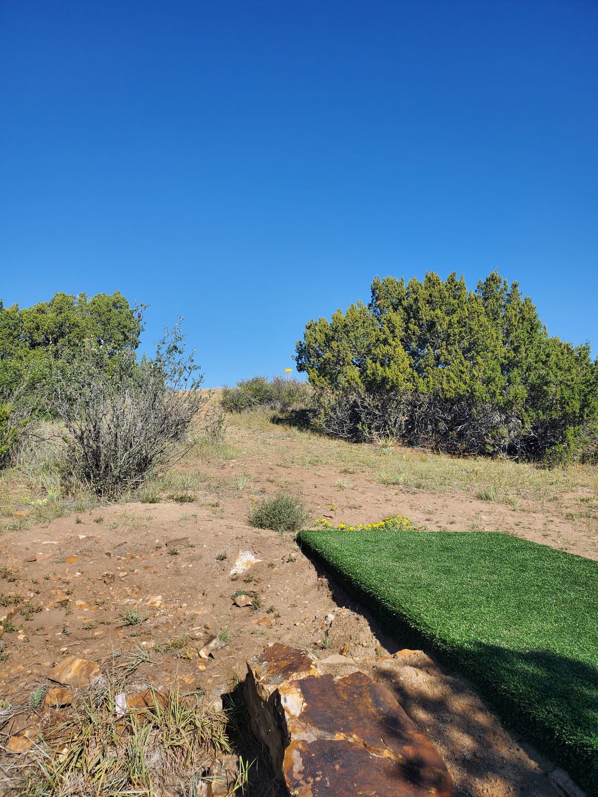 Hole 6