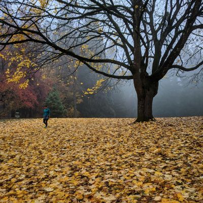 No matter the season, Pier Park is beautiful!