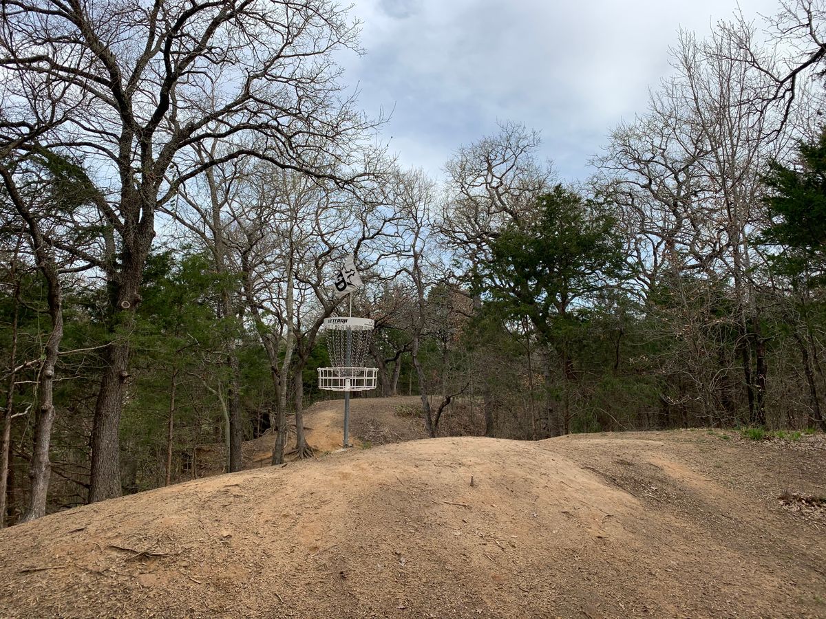 Spine hole looking back @ fairway 3-7-2020