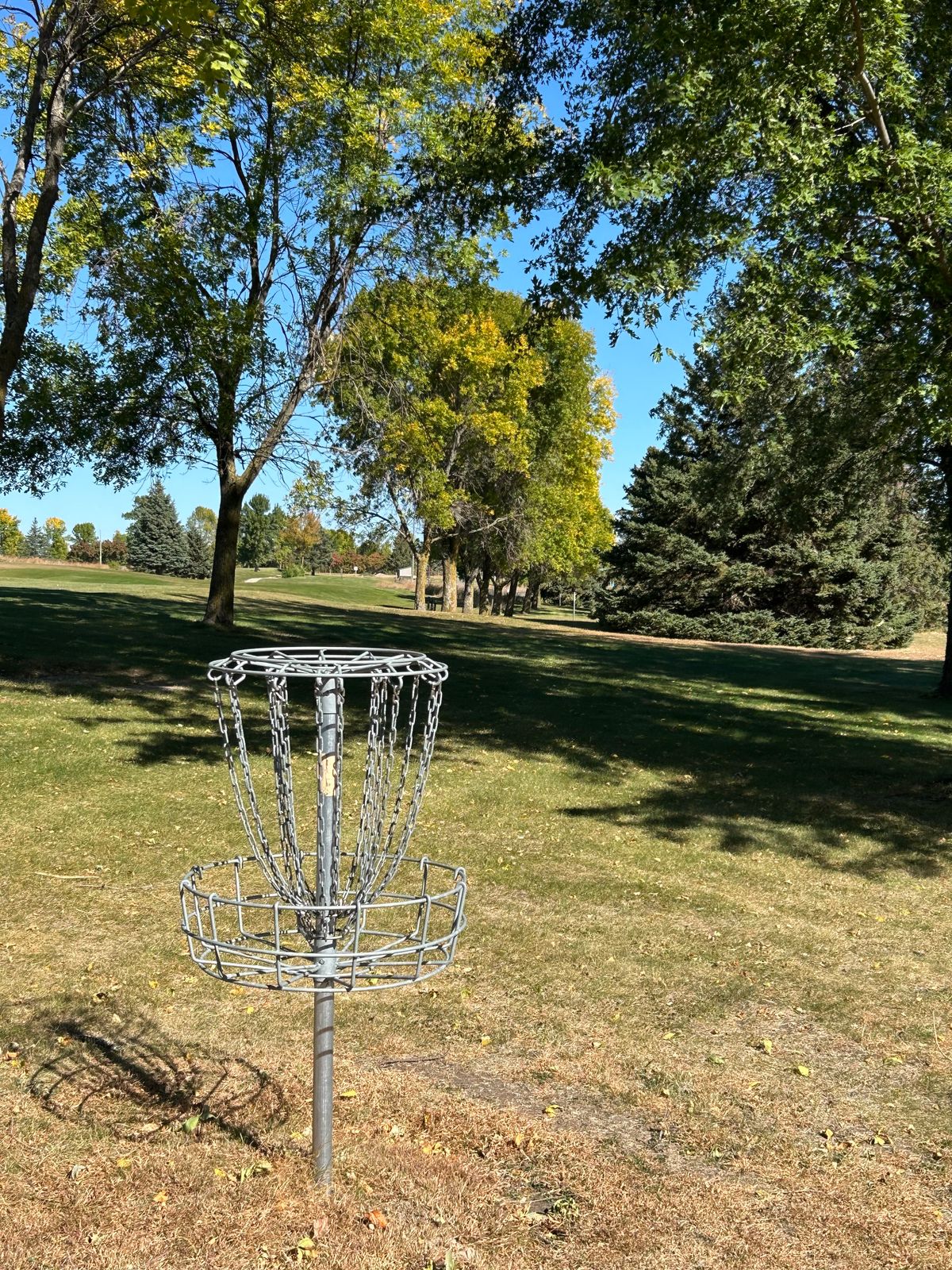 Hole 11 basket looking back toward the teepad