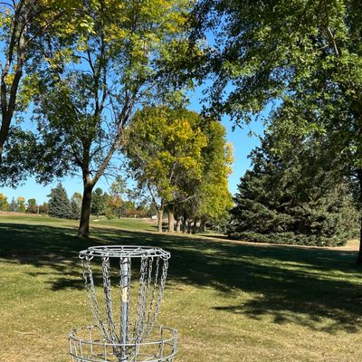 Hole 11 basket looking back toward the teepad