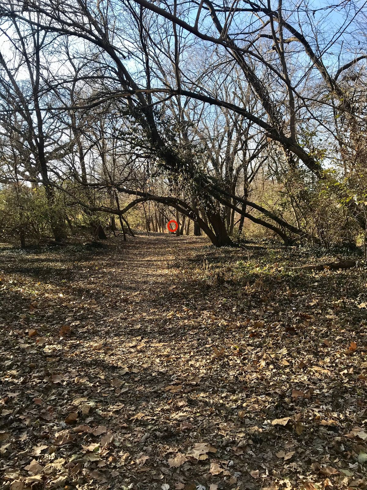 Hole 10 Tee
