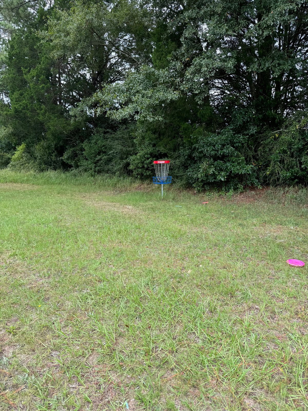 Hole 13 basket