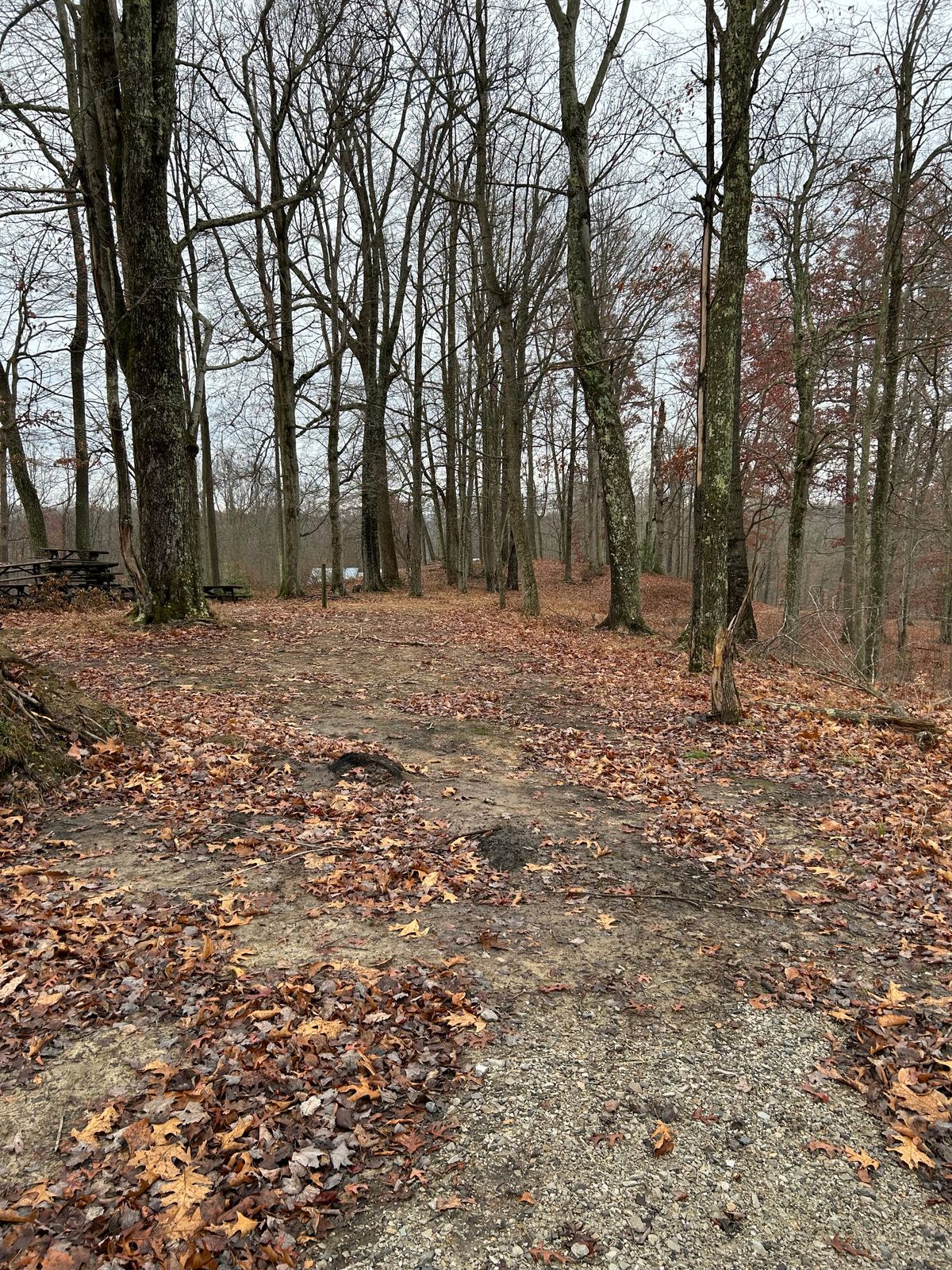 Hole one , dog legs right