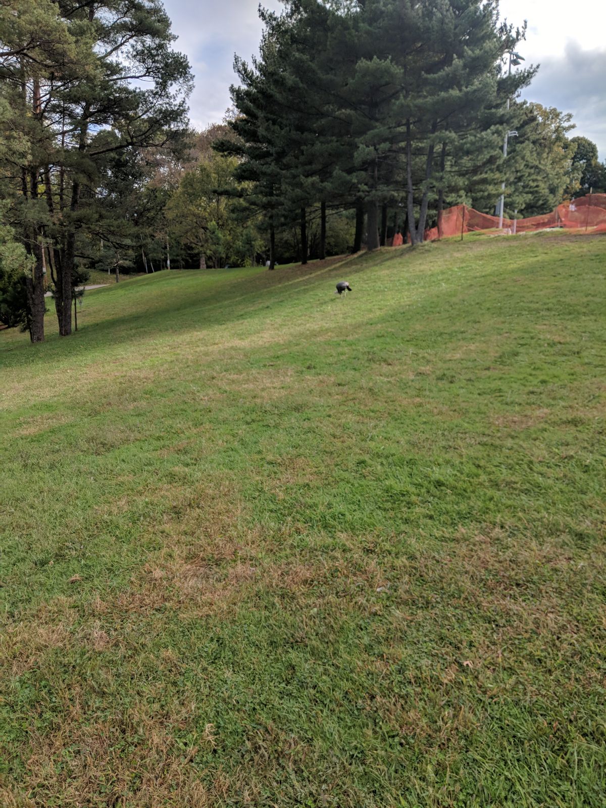Turn off of hole 5