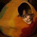 User avatar image