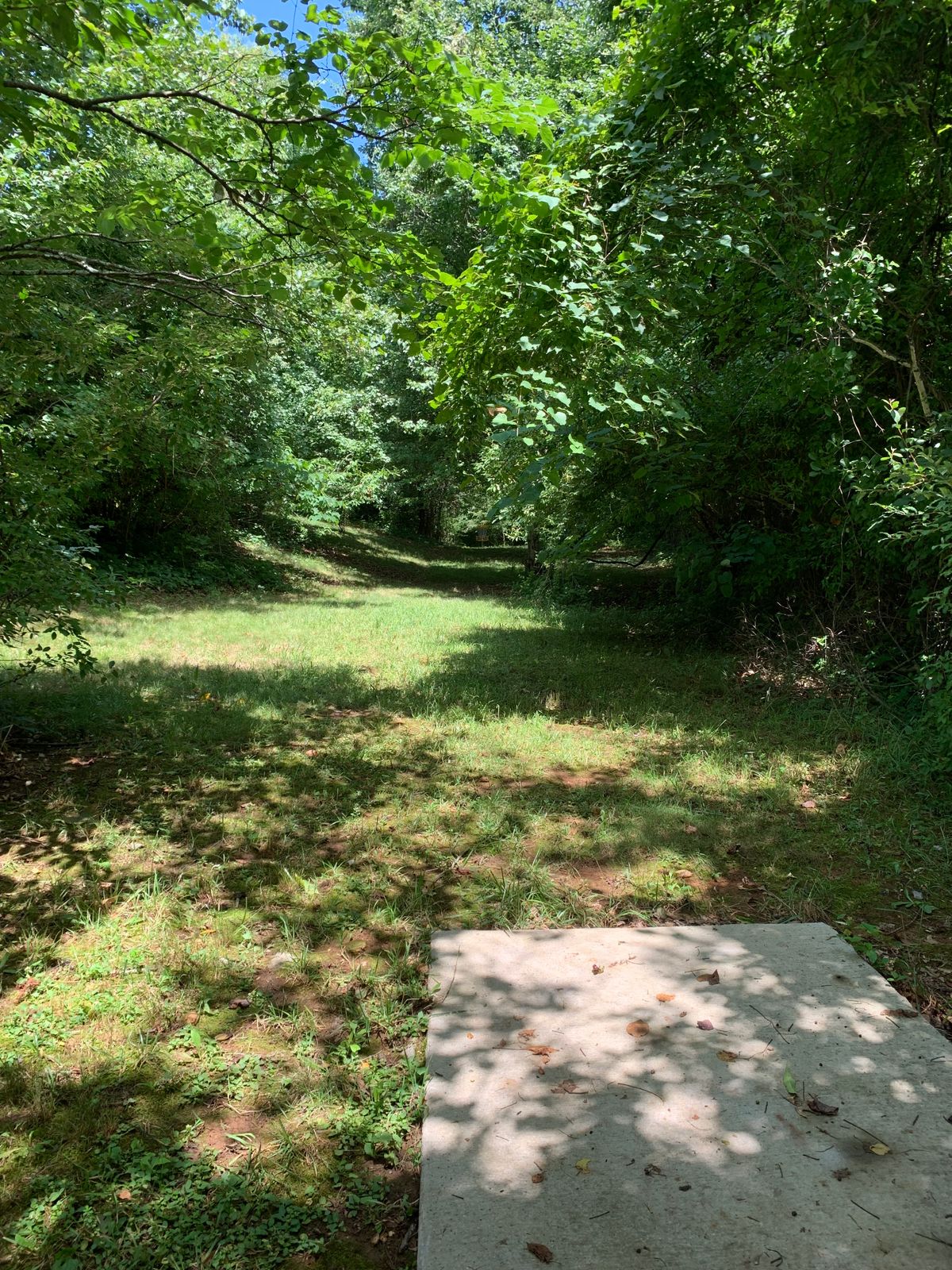 Hole 4