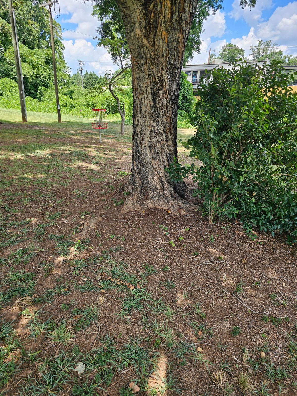 Hole 5's fairway