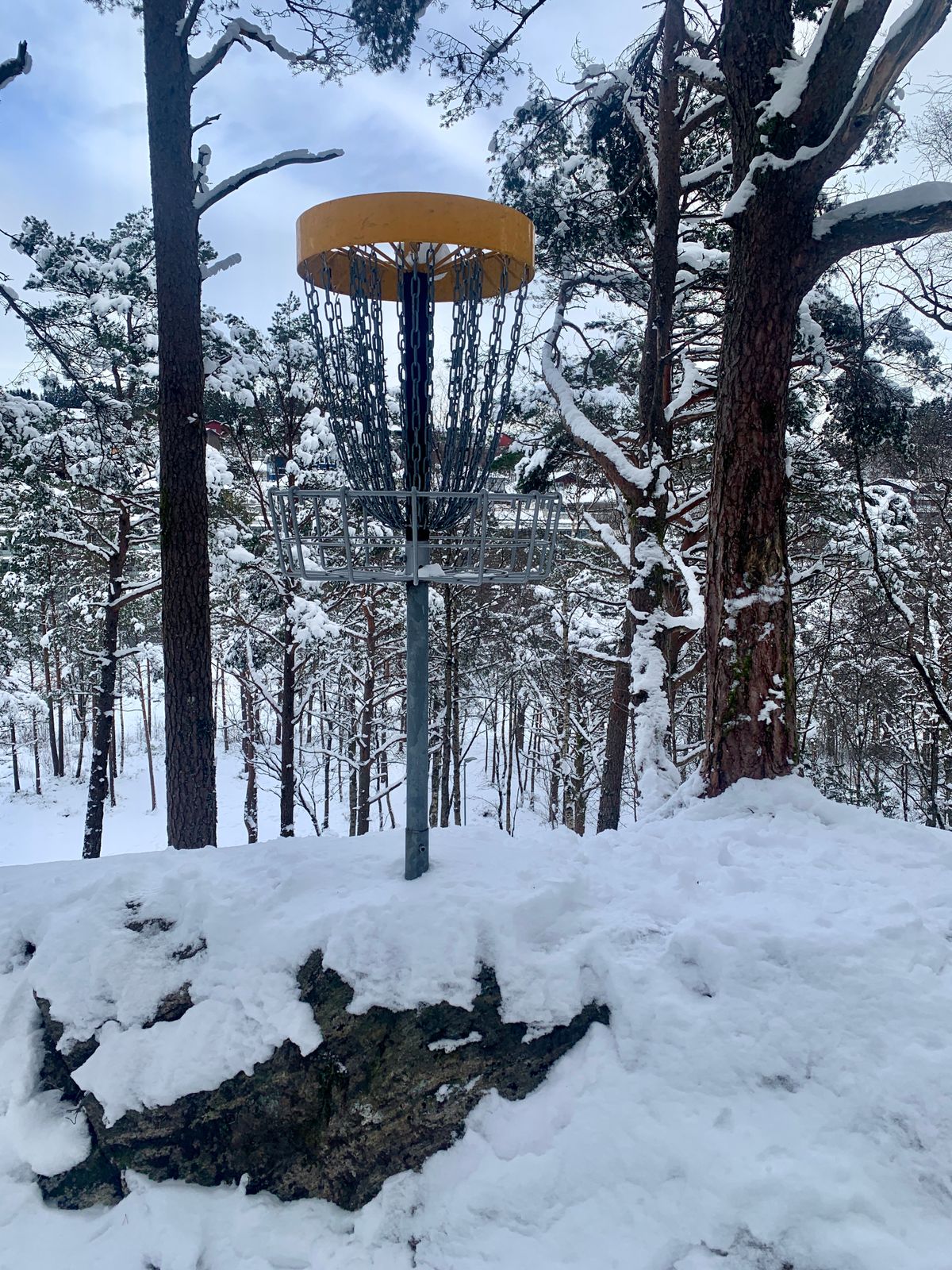 Første hull i februar ❄️
