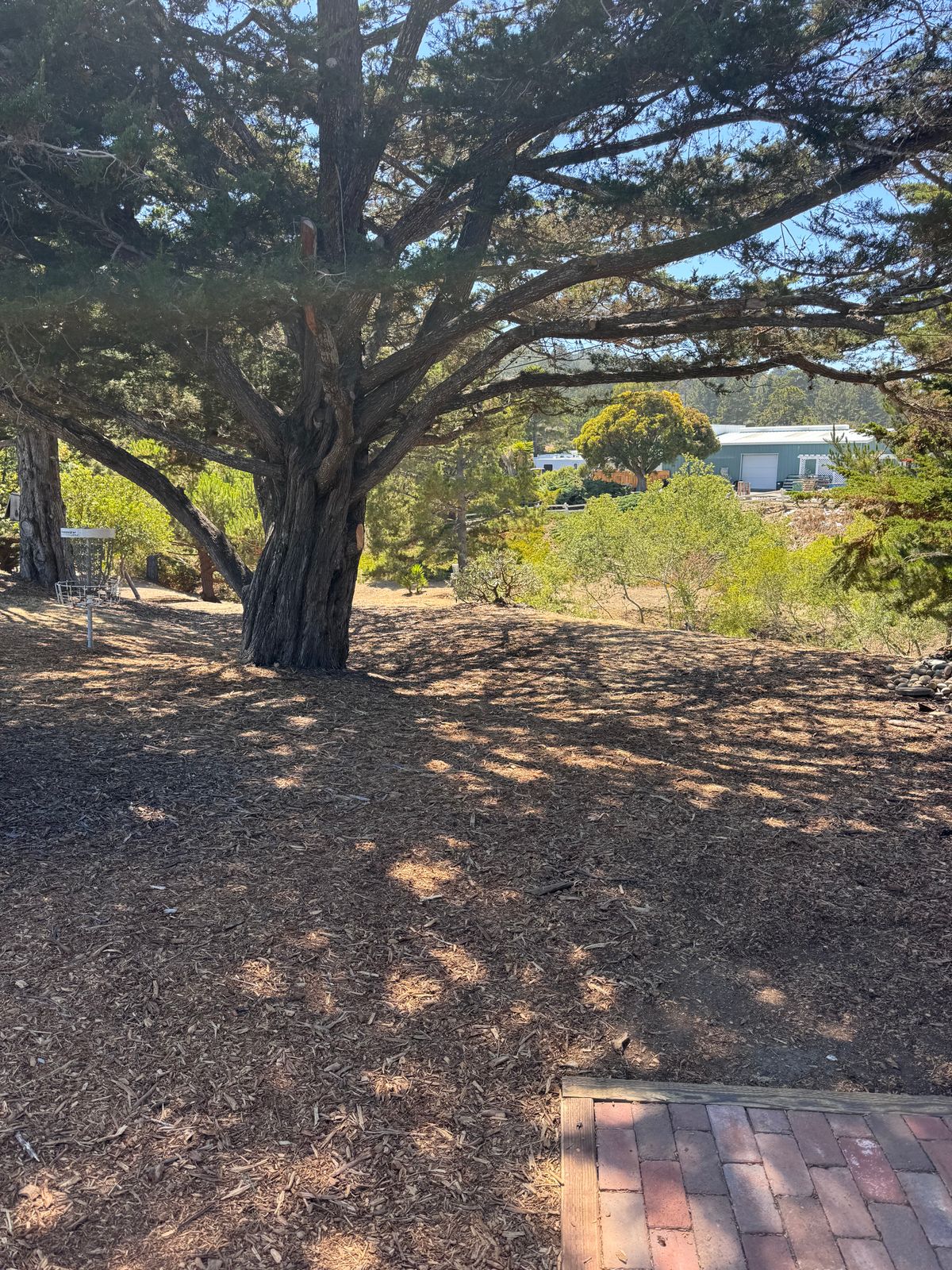 Hole 10 (8/4/25)