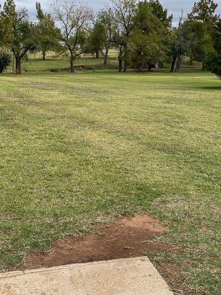 #8 Tee throwing east