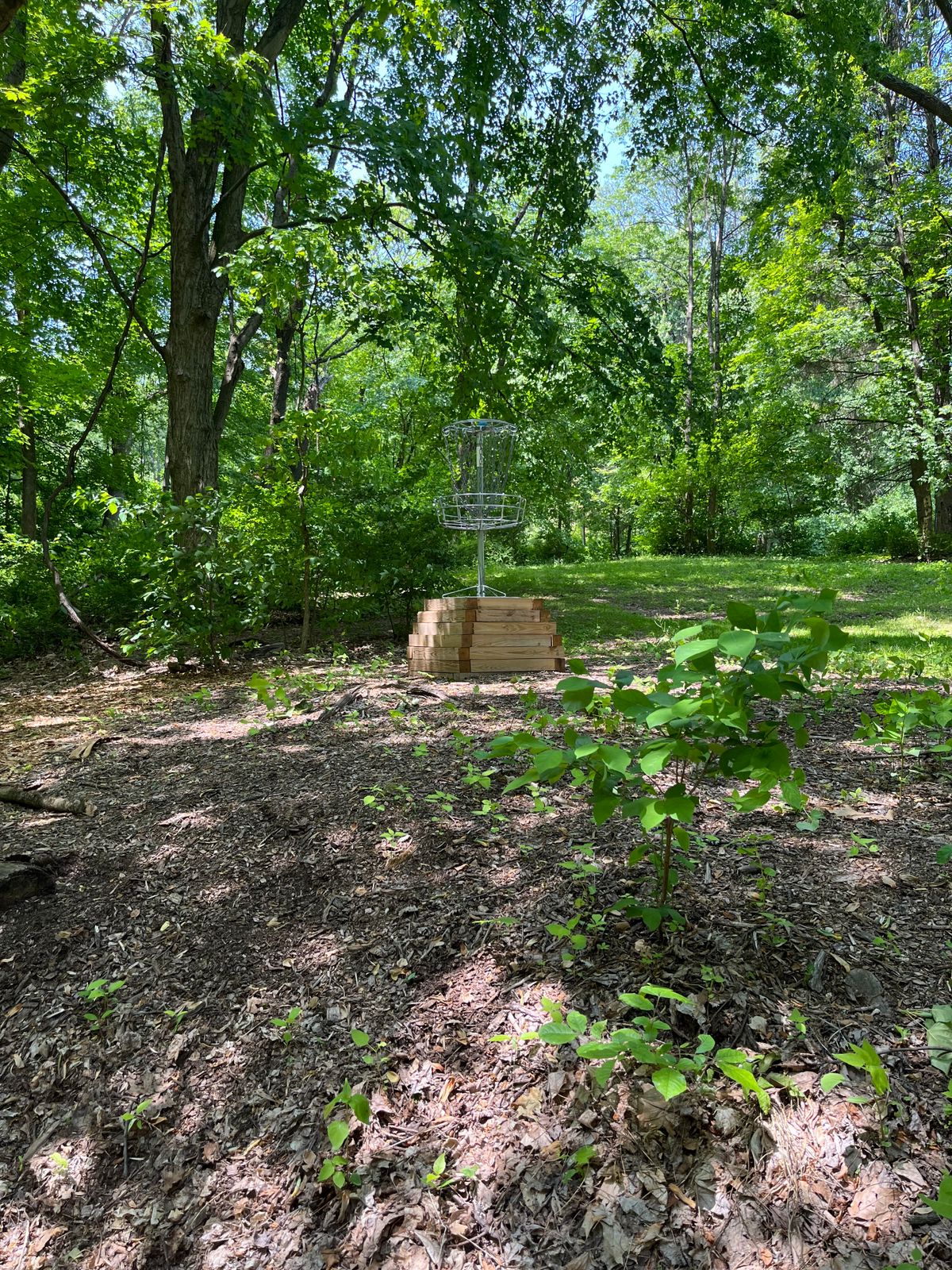 Hole 15