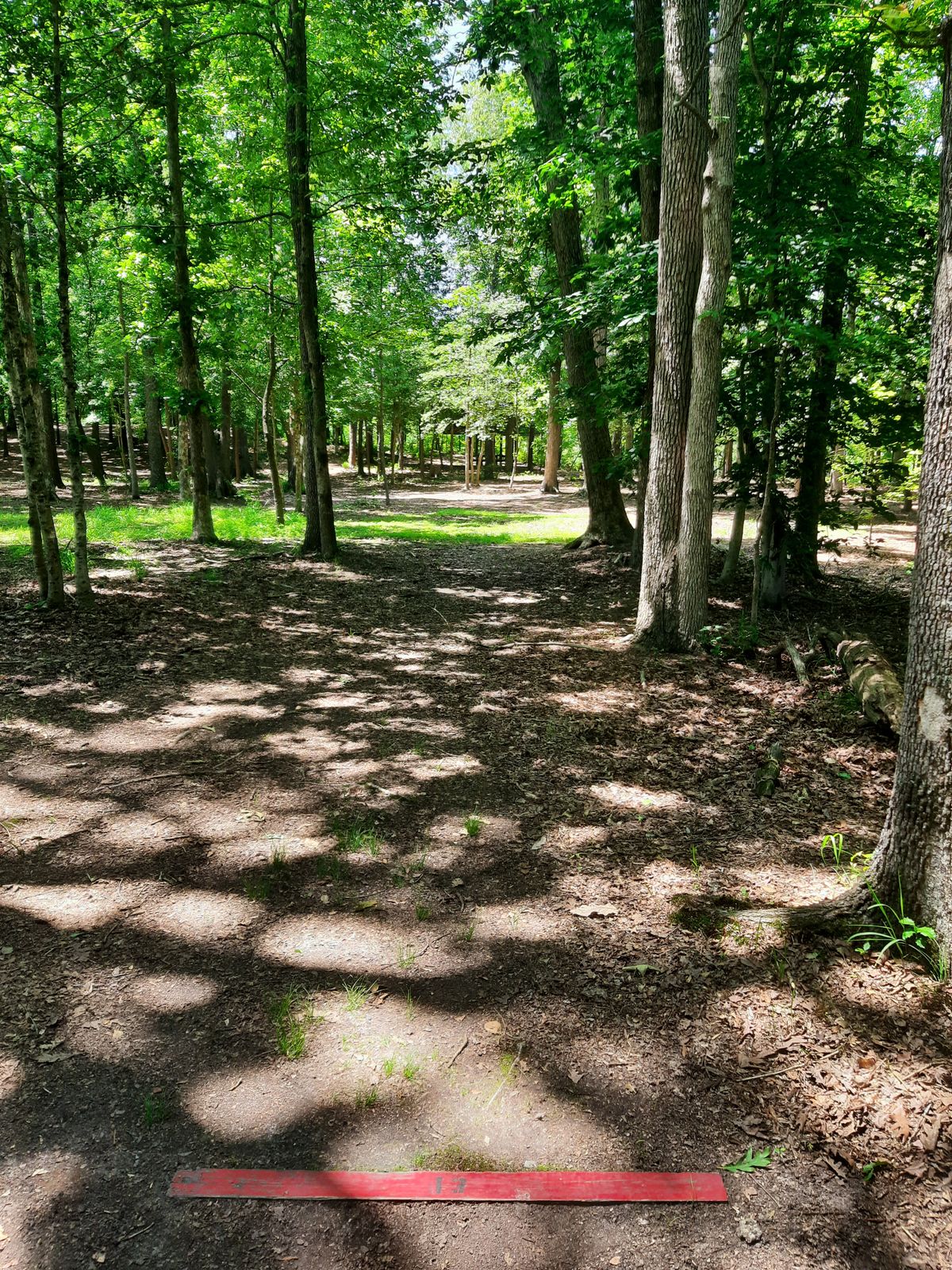 Hole 13 Red Tee