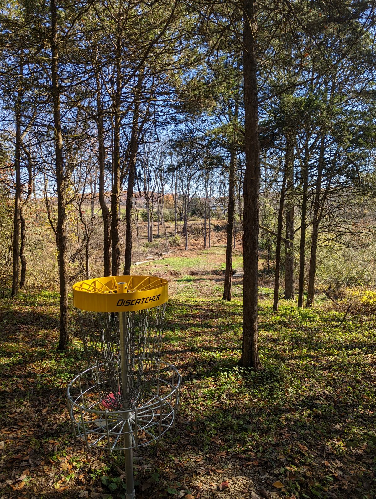 Hole 3 looking back to tee
