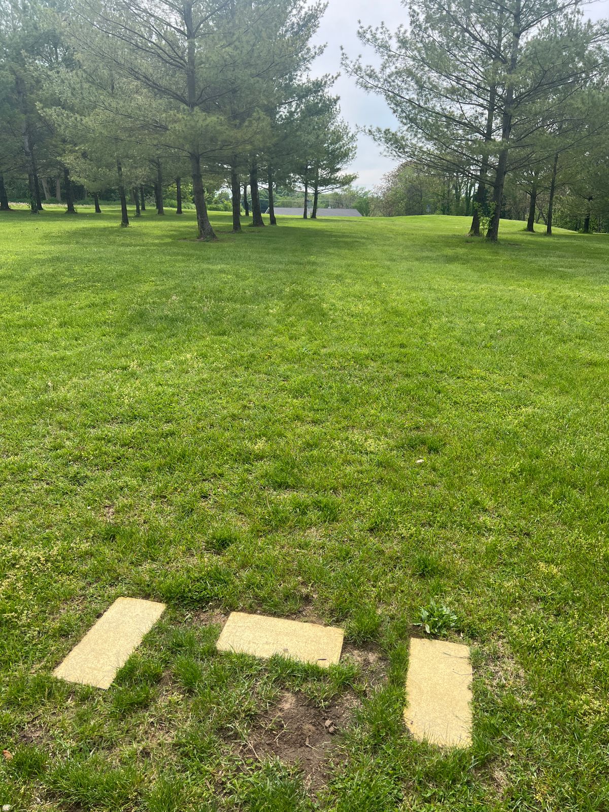 Hole 4 Tee Pad - Basket is around and behind by 50ft the last pine trees in the fairway on the left.