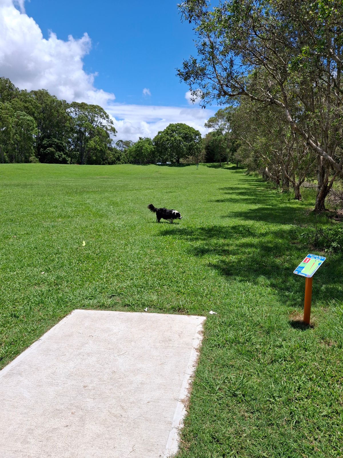 First hole nice and straight, great you can have dogs off leash