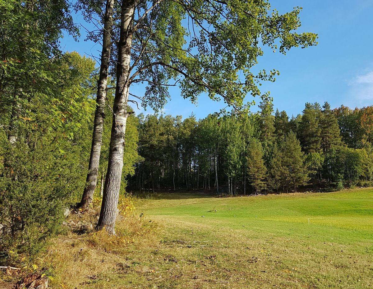 Hål 5