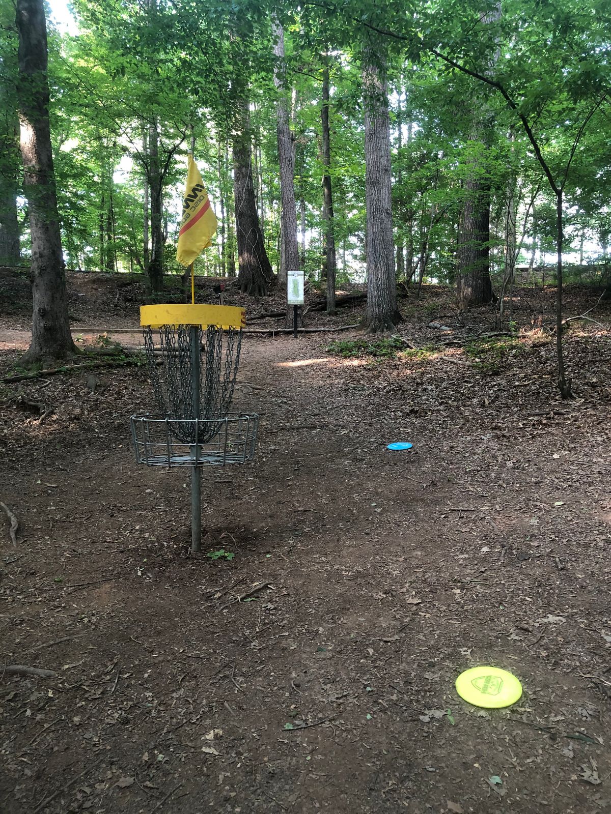 The basket for one of the most challenging holes on the course sits on a pretty steep slope.