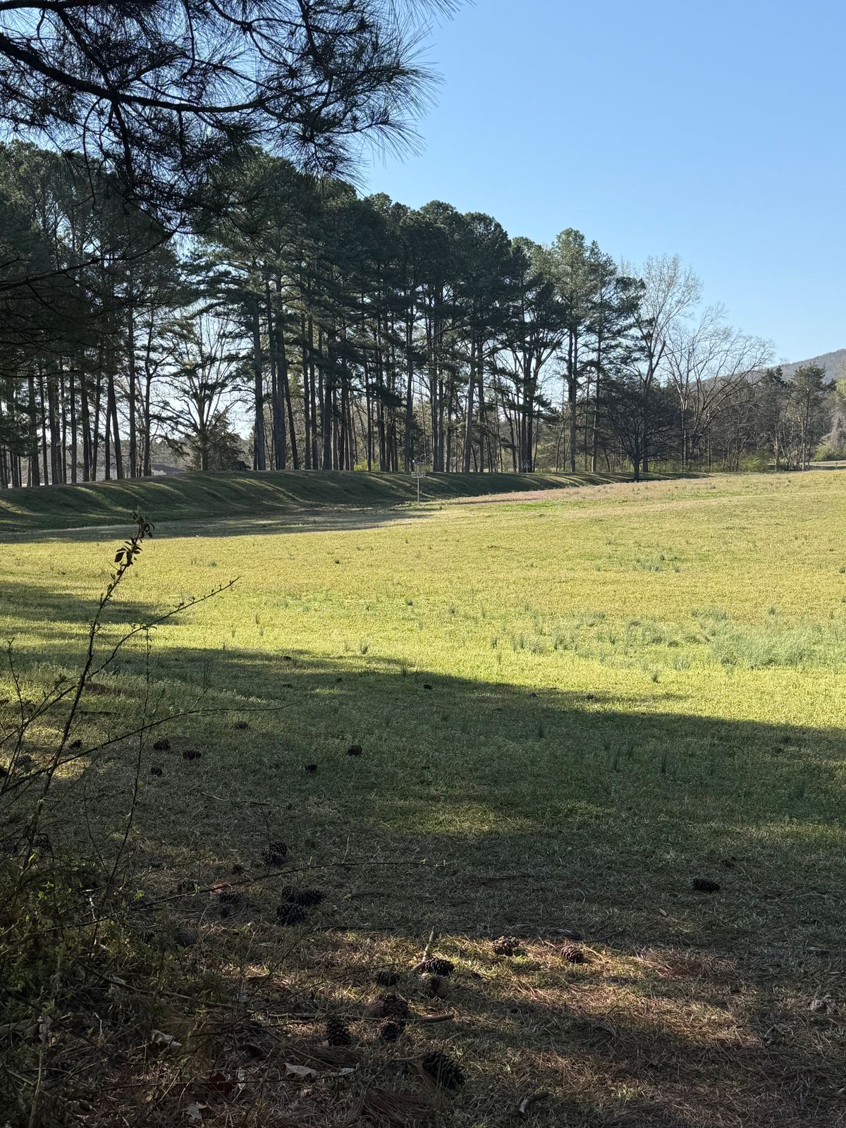 Fairway view