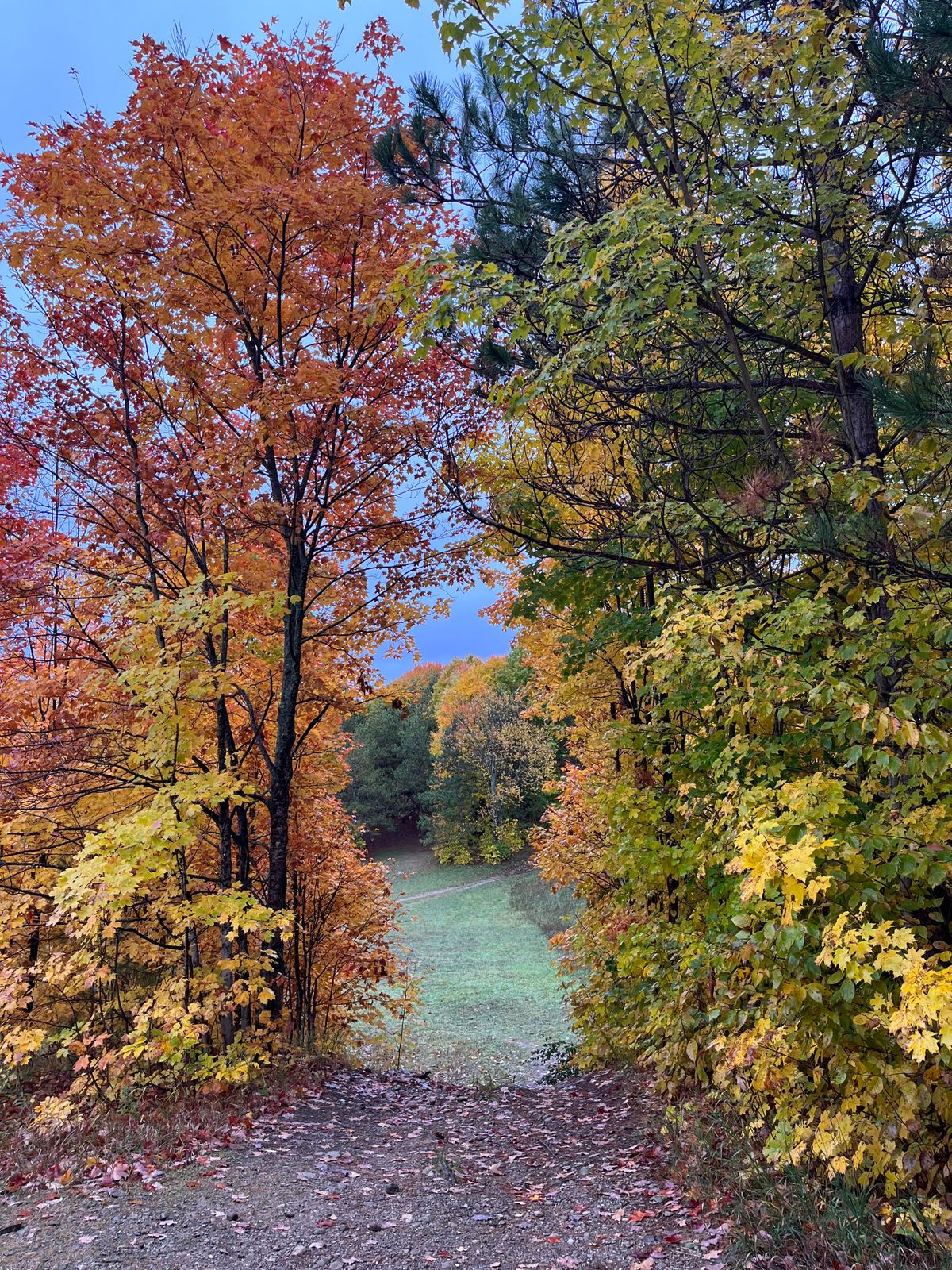 Hole 3