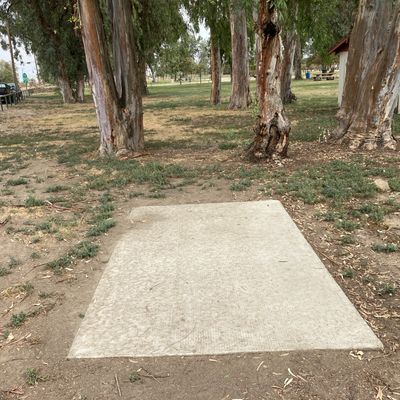 Tee 9