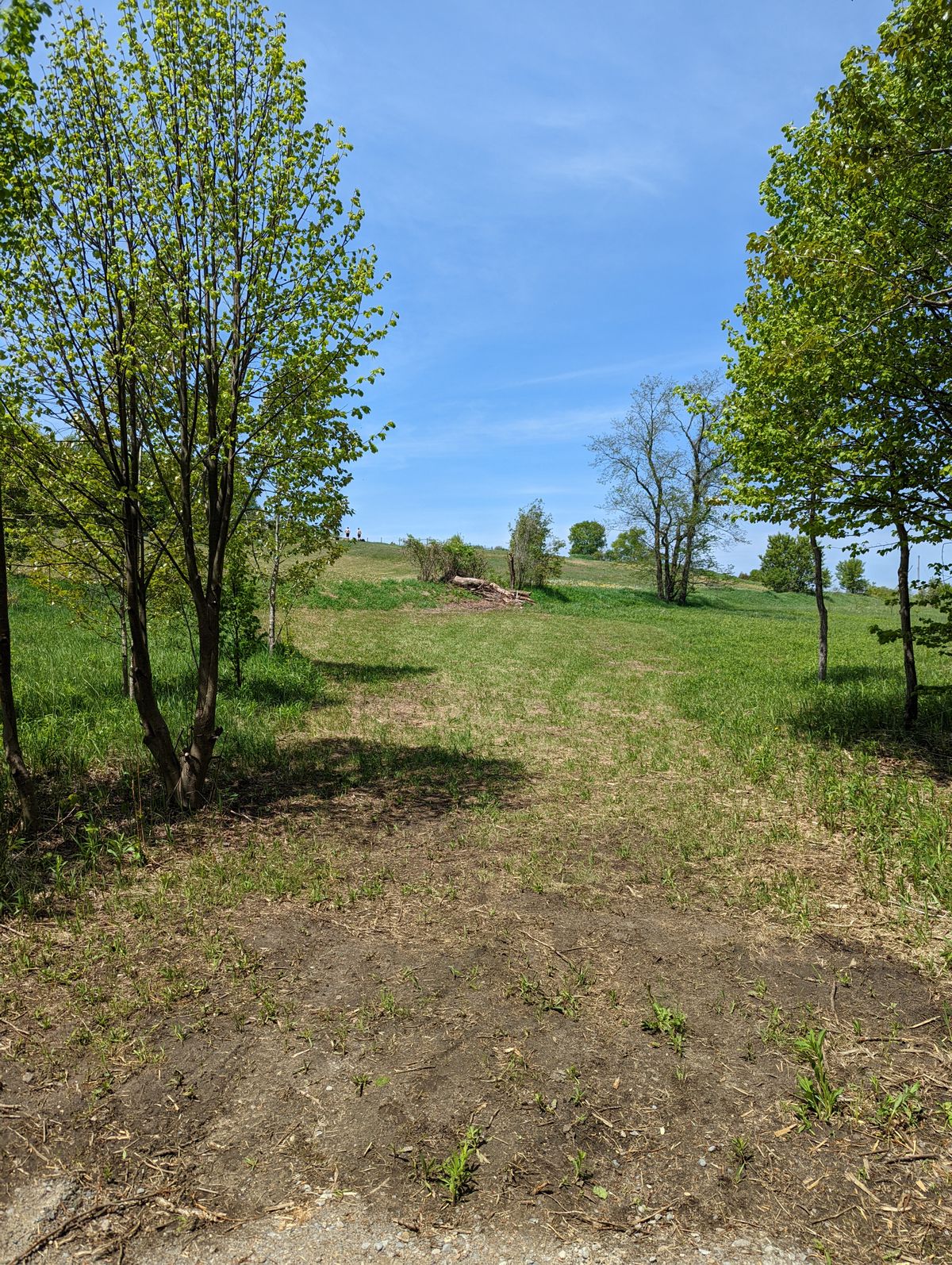 Big elevation up on hole 8