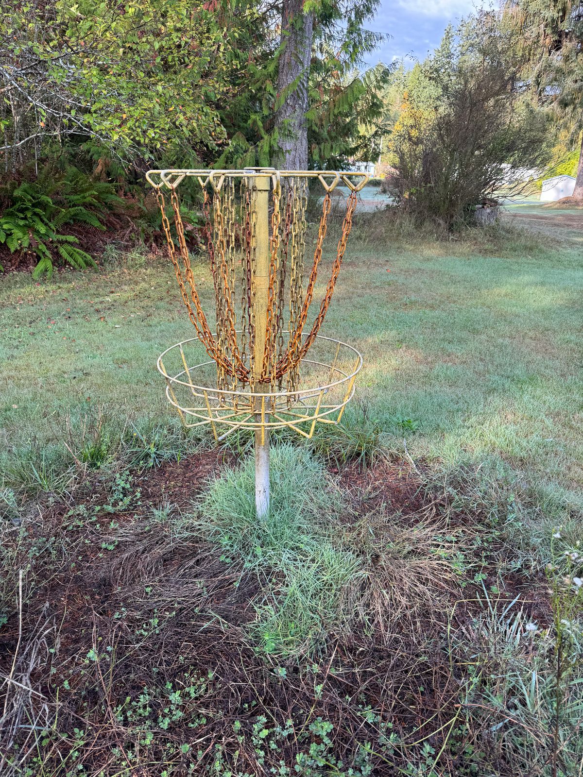 Basket - Hole 5