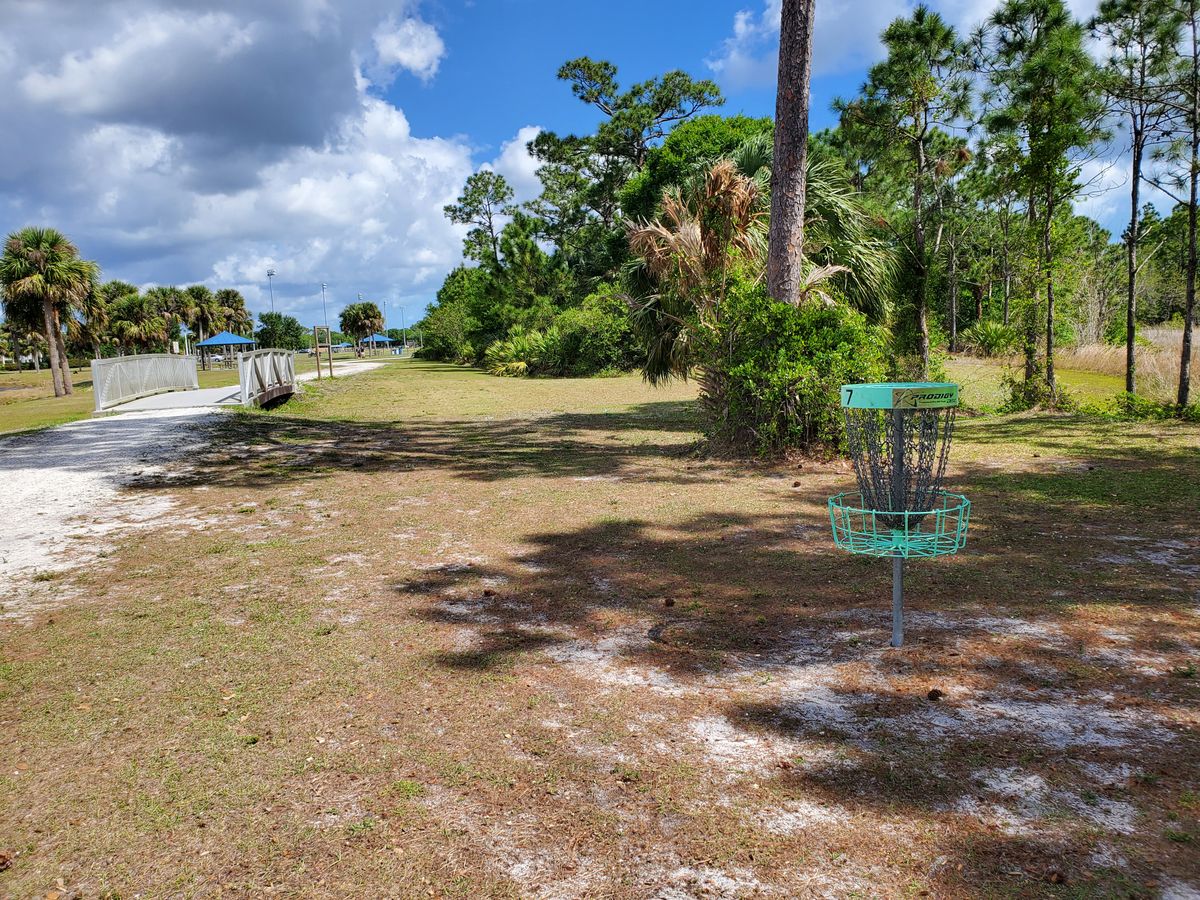 The 9th fairway has two tall yellow pines and a few palm trees as hazards.   The gravel road is unforgiving on skippity-doo shots.
