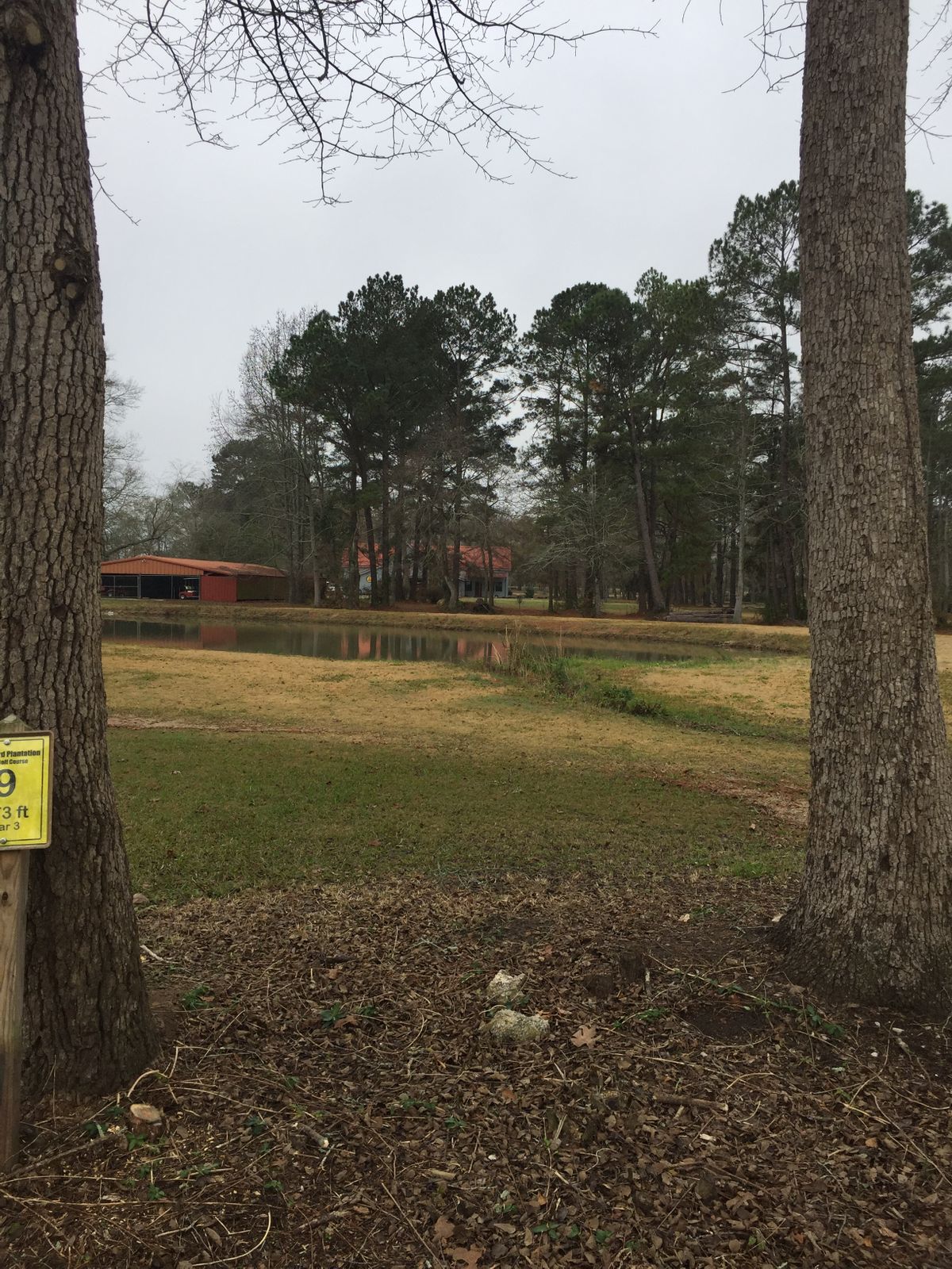 Hole 9