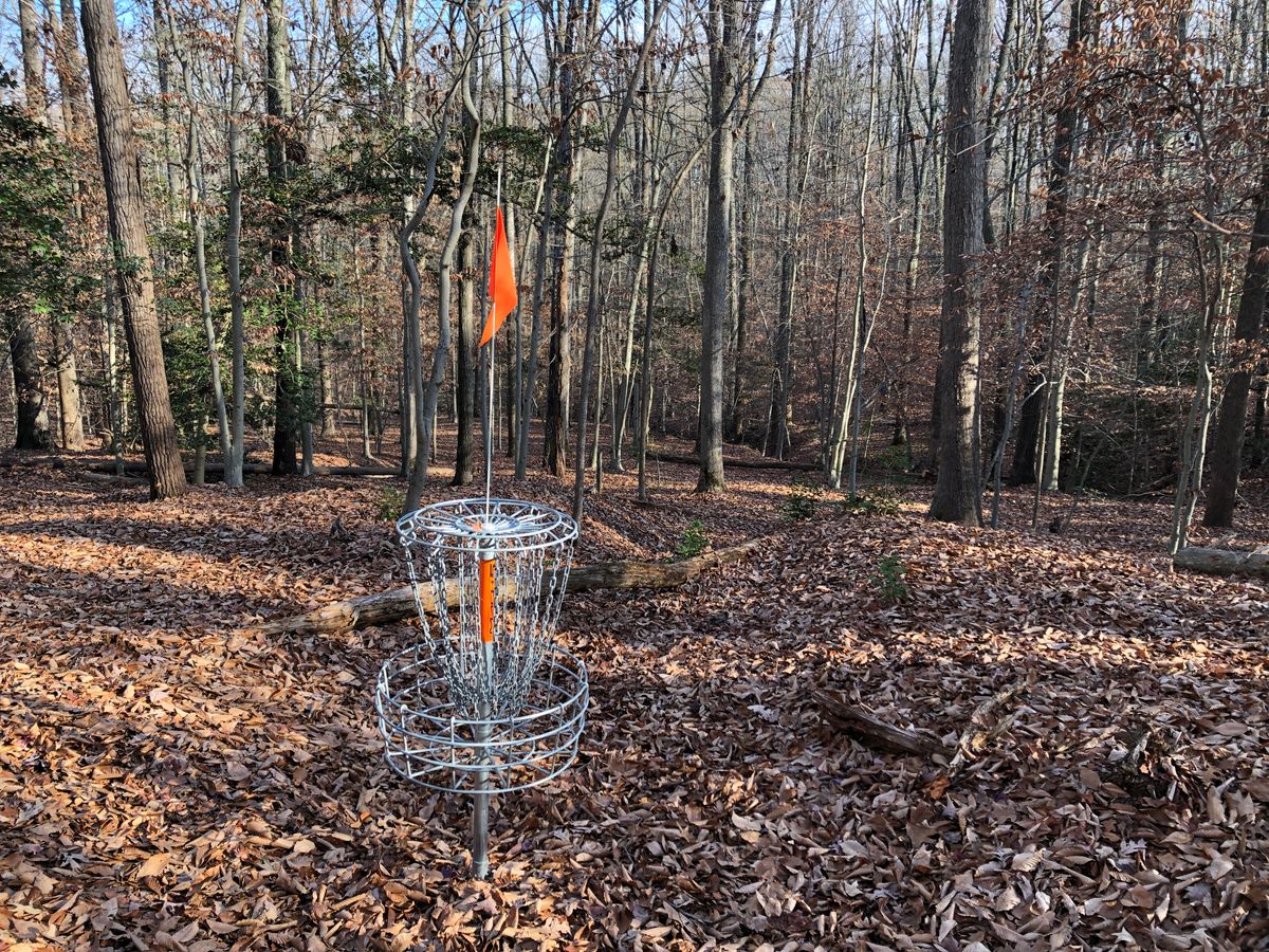 Hole 14 basket (looking downhill toward fairway)
