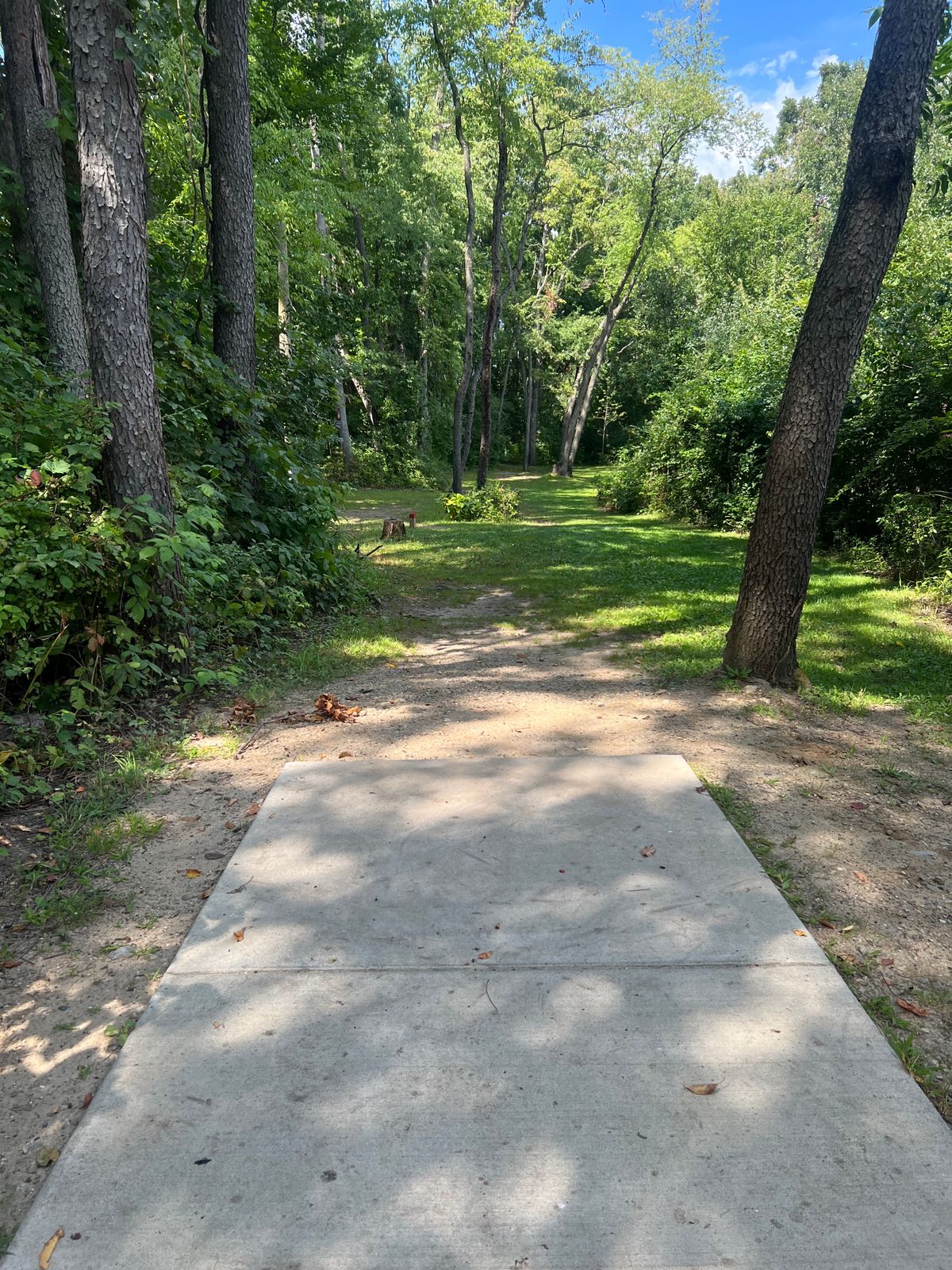 Hole 5 (White) - Tee Pad