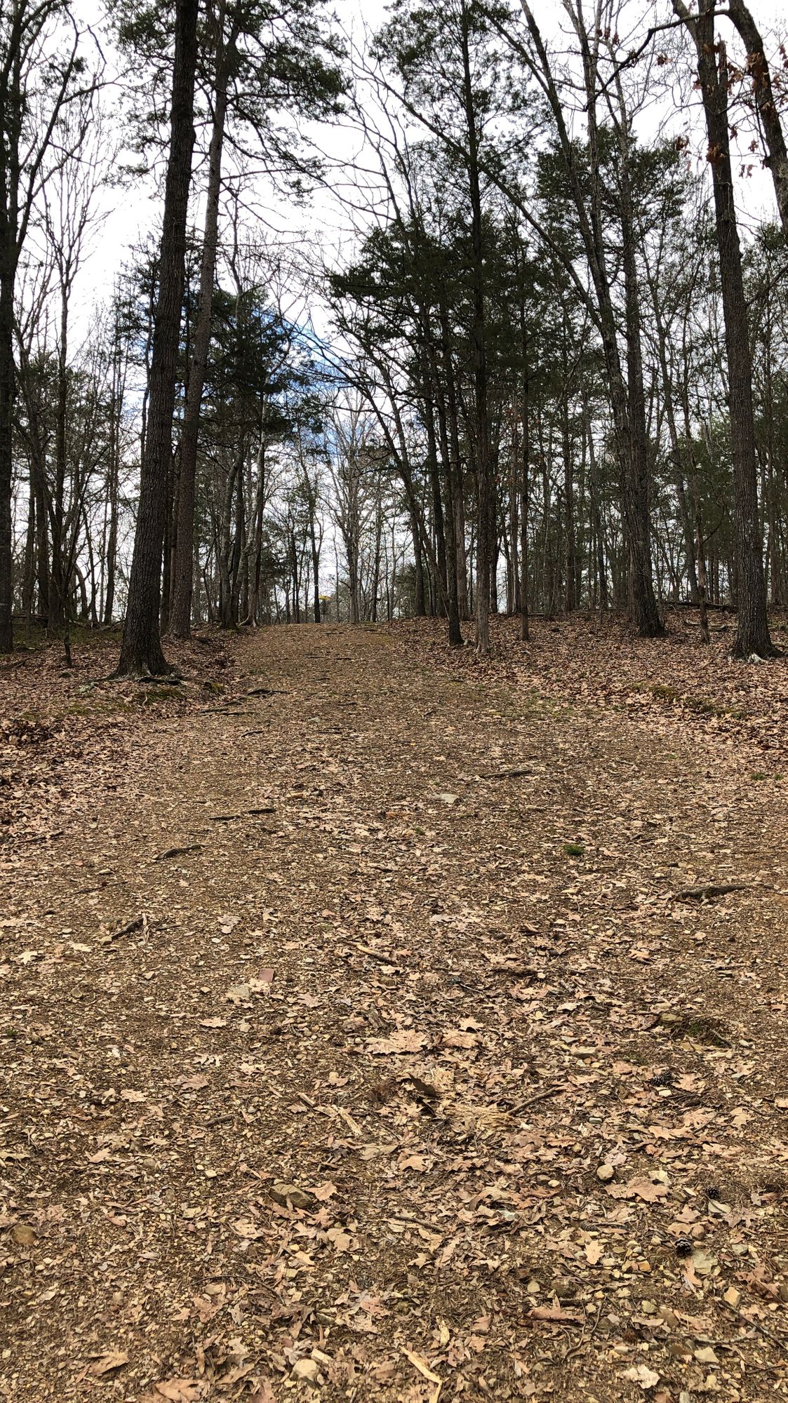 #8 continued pretty steep incline