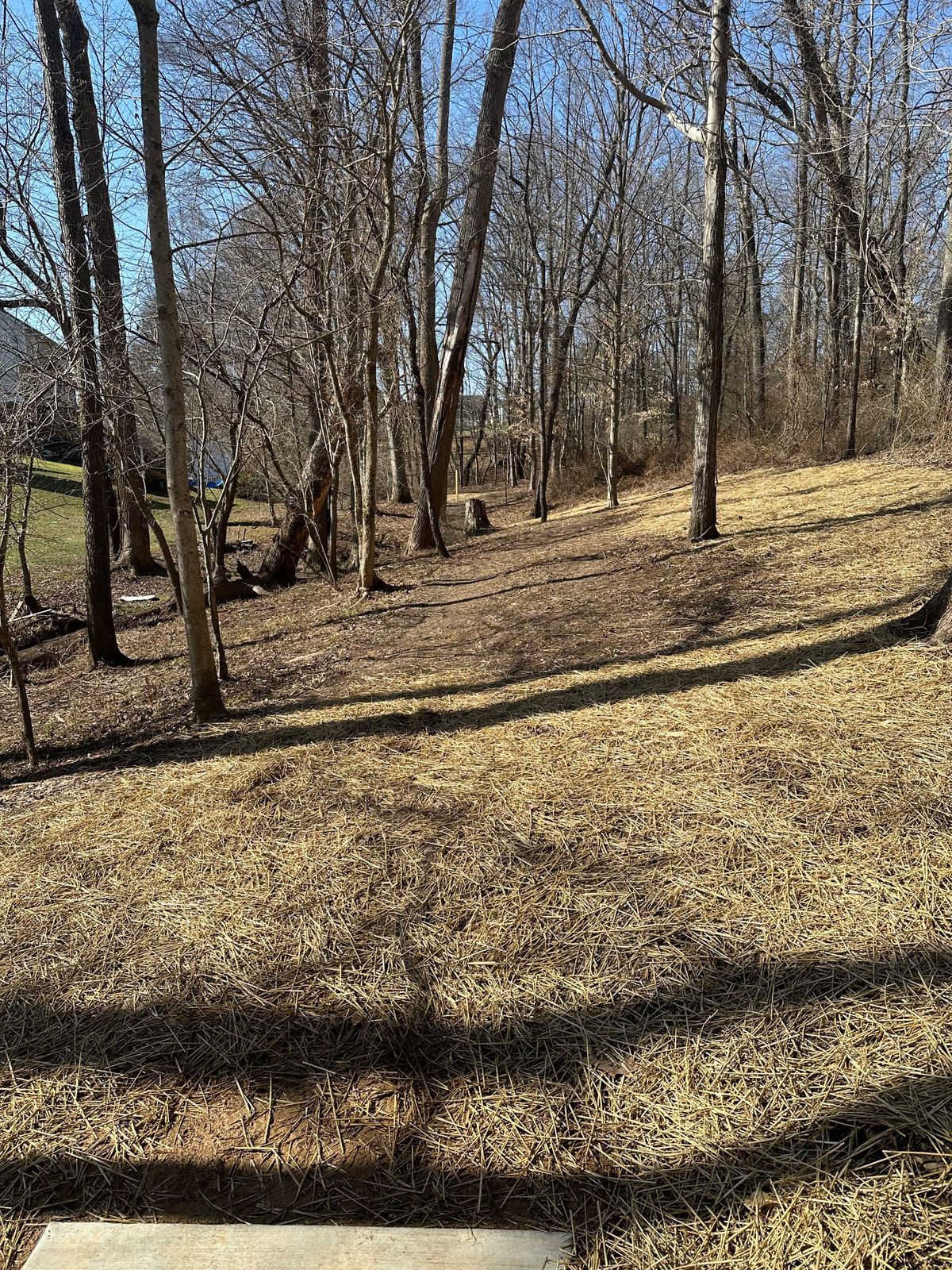 Hole 11 (White)