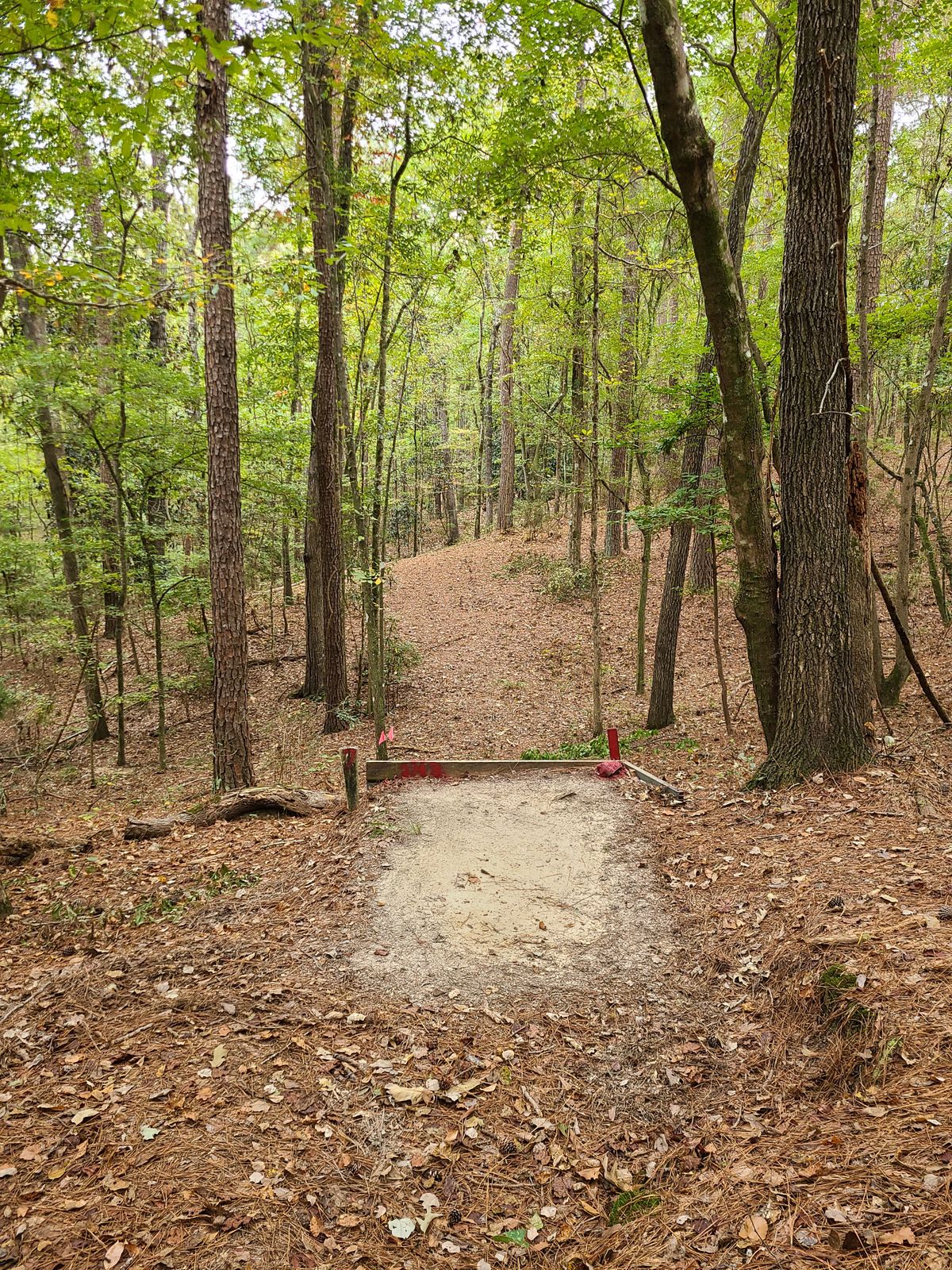 Hole 7