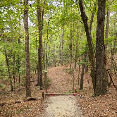 Hole 7