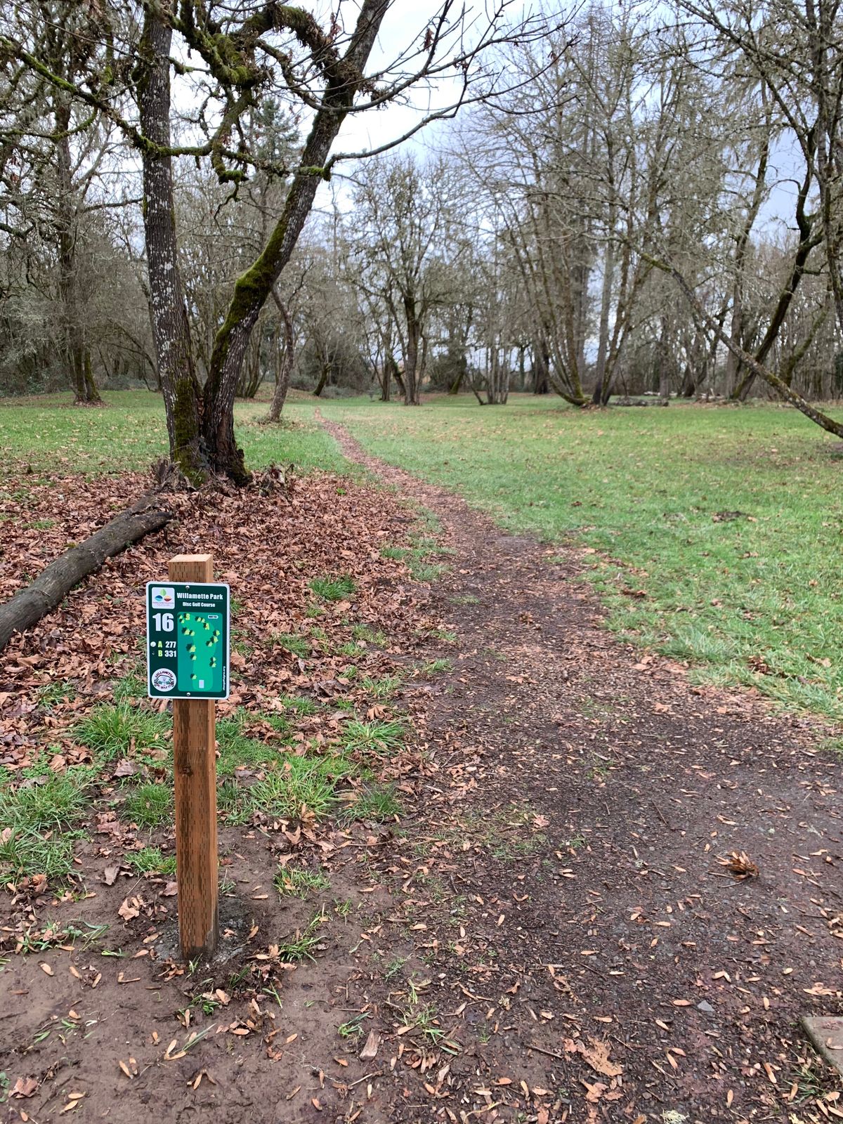 Hole 16