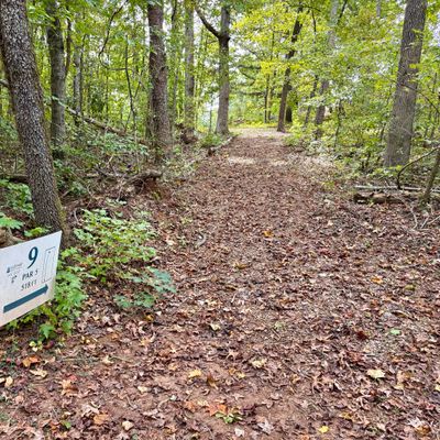 Hole 9 tee