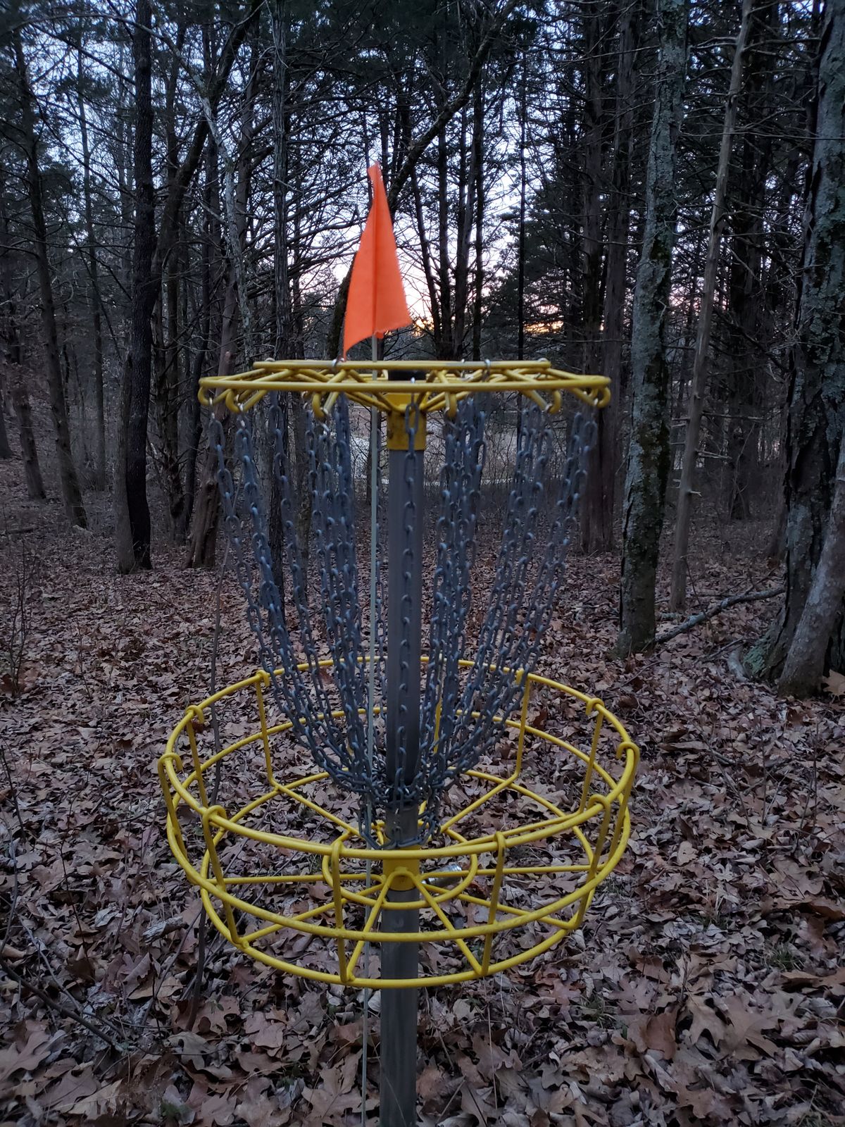 Looking at the pond from the basket on 18