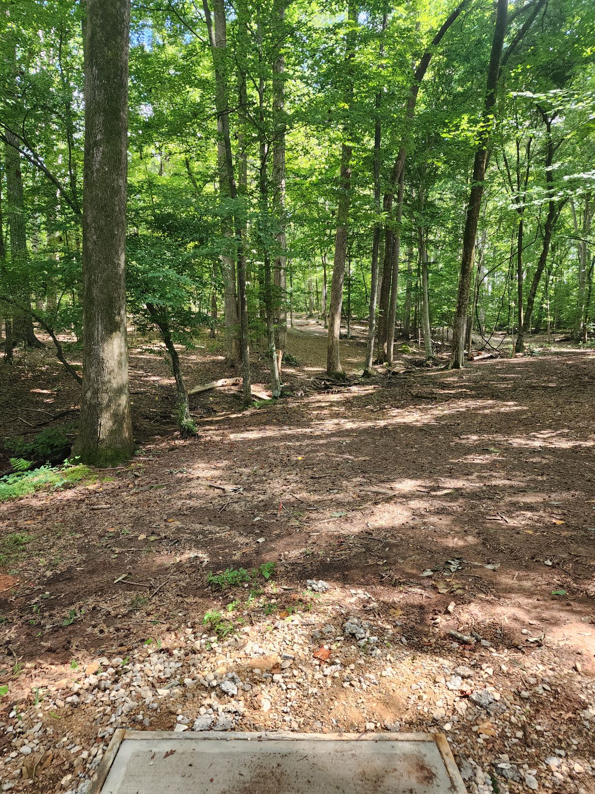 Hole 12 tee