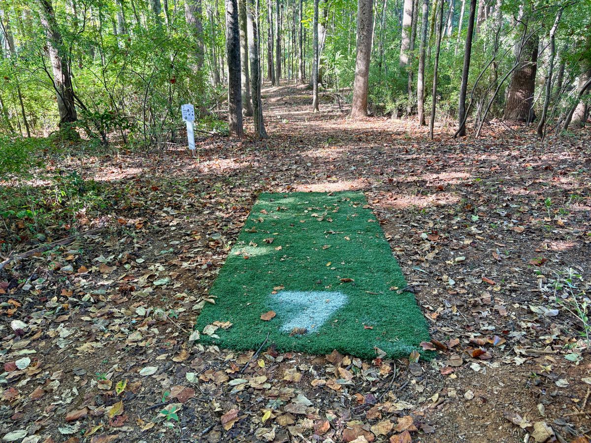 Hole 7 tee