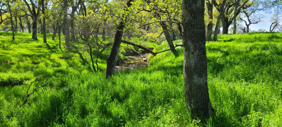 Small seasonal creek