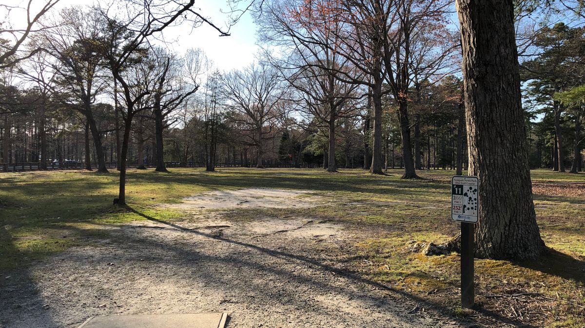 Hole 11