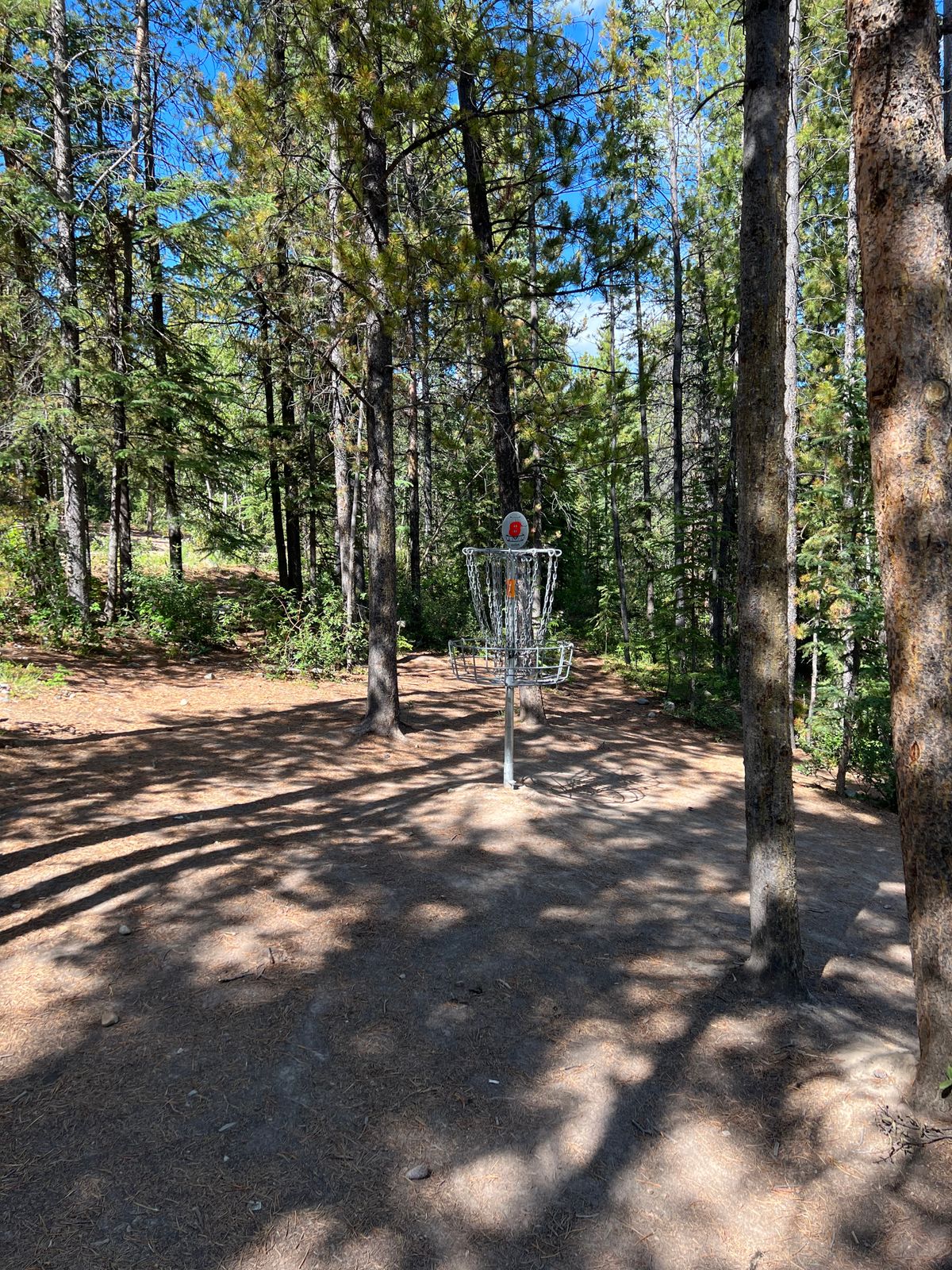 Hole 8 basket