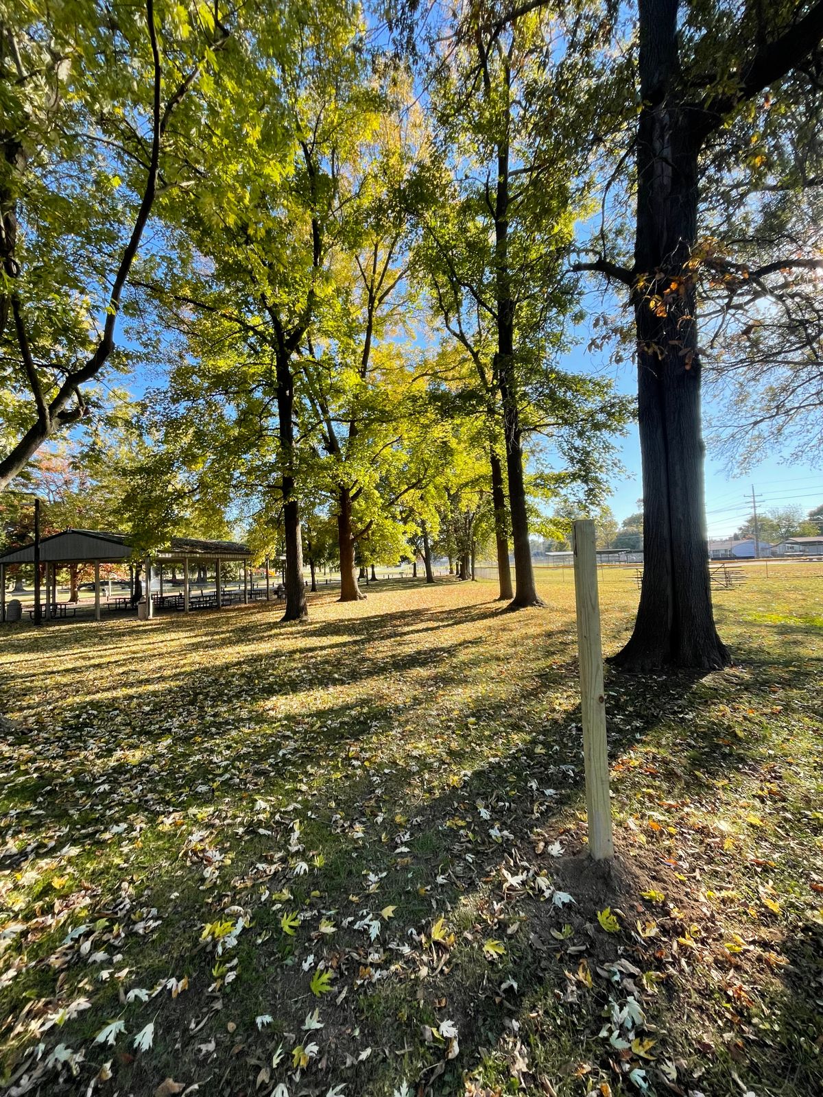 Hole 14