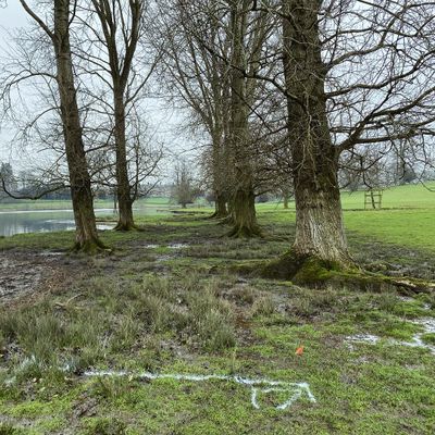 Tee 17 (pre install photo)