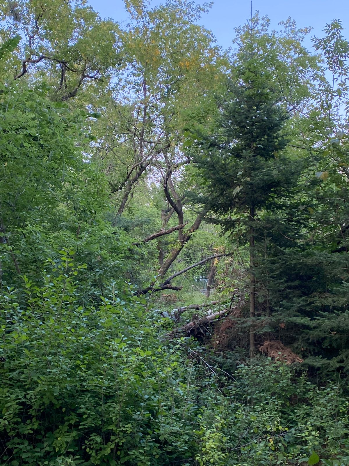 Hole 6