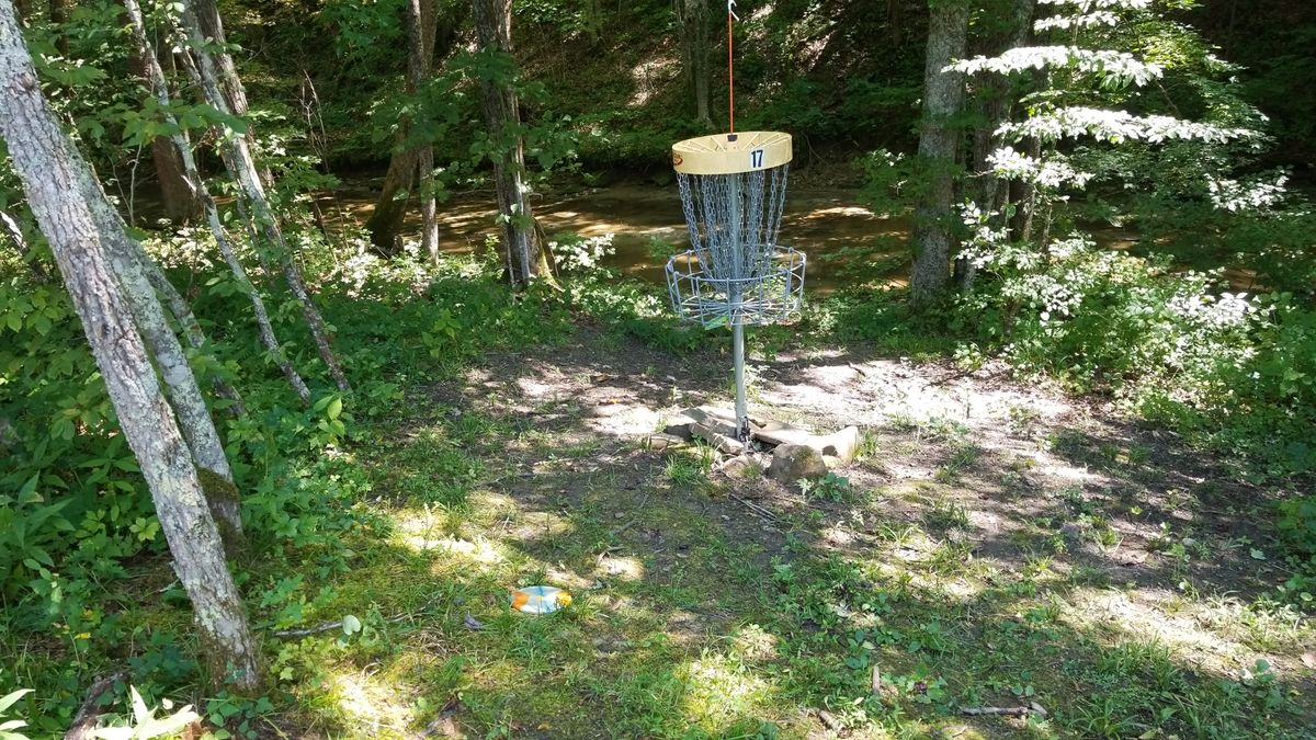 Hole 17 basket
