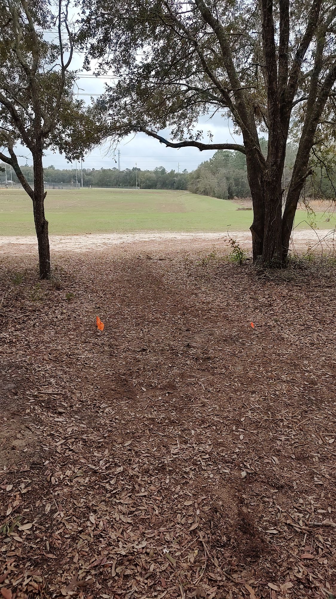 Hole 4